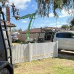 professional plumbing maintenance